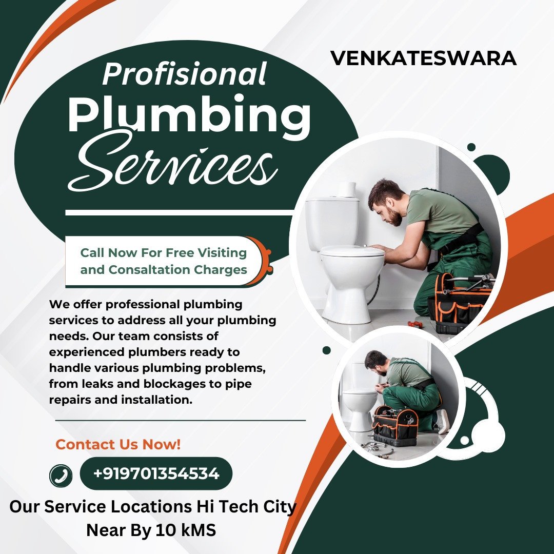 Profisional Plumbing Services